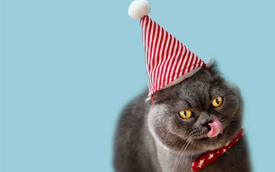 Anti-Kater-Mittel